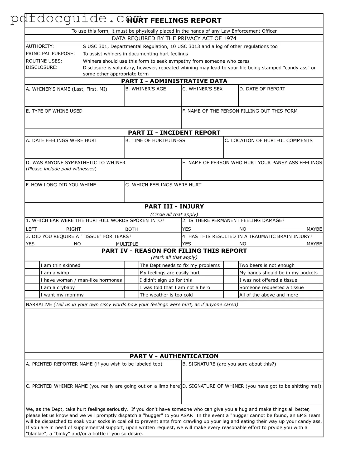 Hurt Feelings Report Form