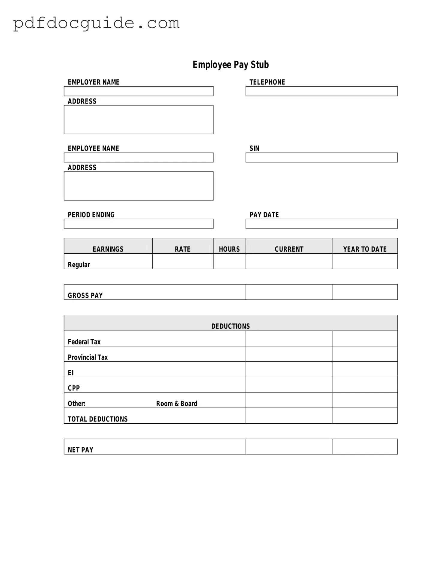 Pay Stub Form