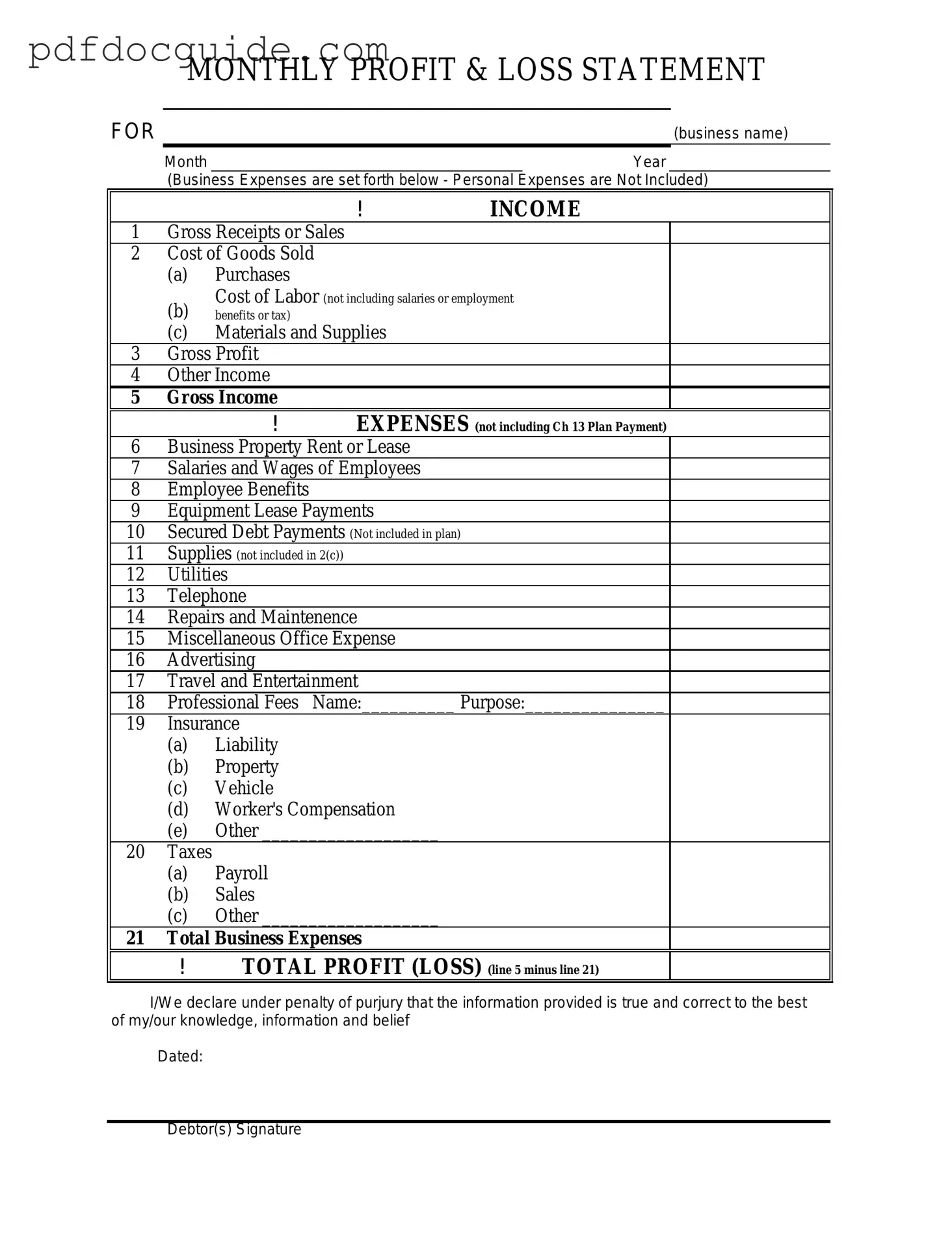 Profit And Loss Form