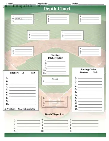Baseball Field Lineup Form
