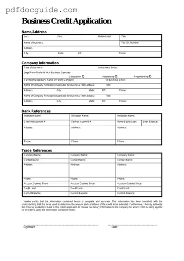 Business Credit Application Form