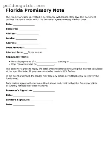 Valid  Promissory Note Document for Florida