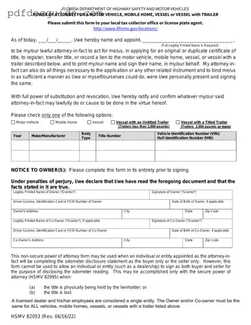 Florida Vehicle POA form 82053 Form