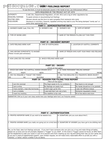Hurt Feelings Report Form