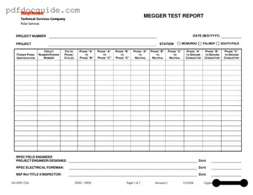 Megger Test Form