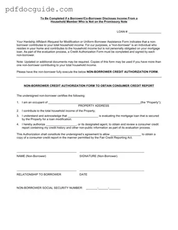 Non Borrower Credit Authorization Form