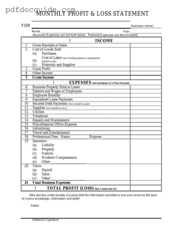 Profit And Loss Form