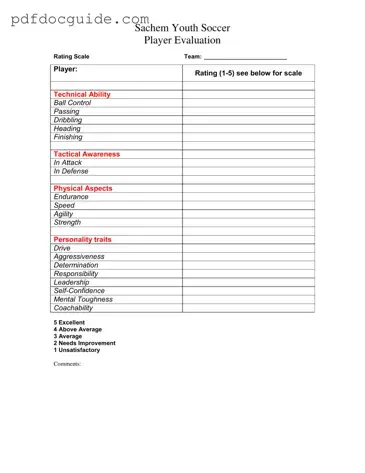 Soccer Player Evaluation Form