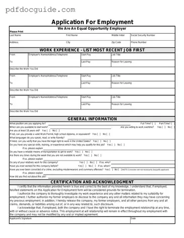 Spanish Application Employment Form